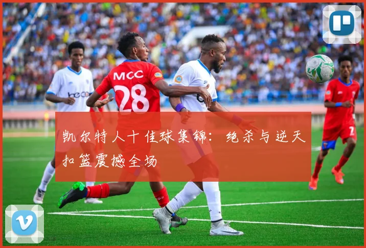 凯尔特人十佳球集锦：绝杀与逆天扣篮震撼全场