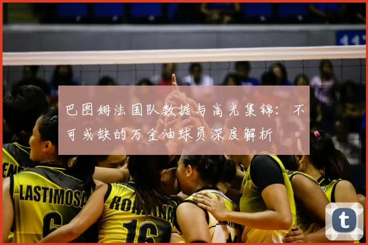 巴图姆法国队数据与高光集锦：不可或缺的万金油球员深度解析