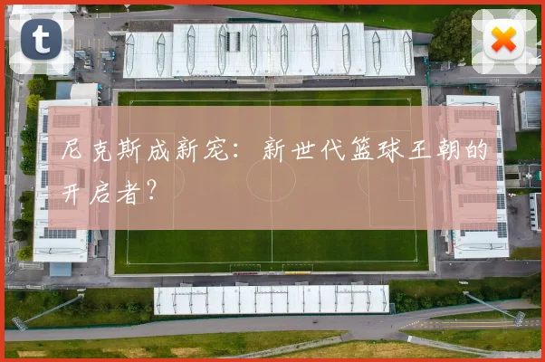 尼克斯成新宠：新世代篮球王朝的开启者？