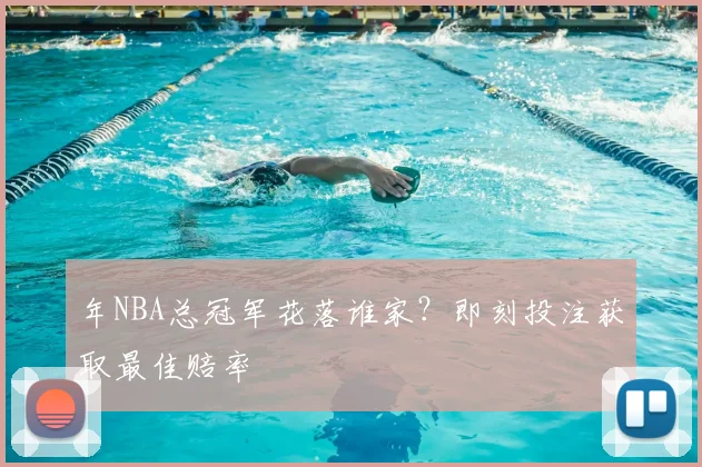 年NBA总冠军花落谁家？即刻投注获取最佳赔率