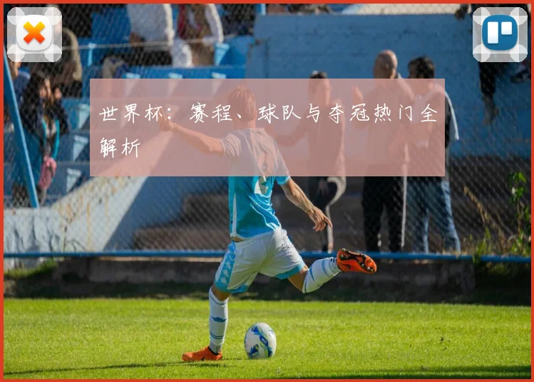 世界杯：赛程、球队与夺冠热门全解析