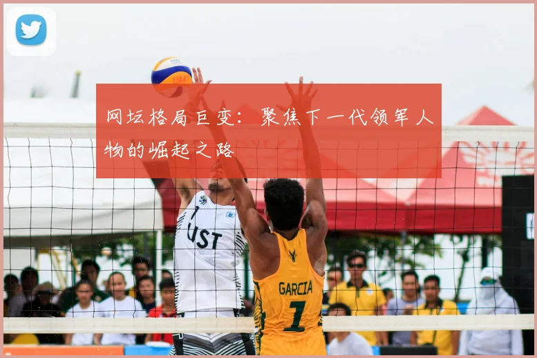 网坛格局巨变：聚焦下一代领军人物的崛起之路