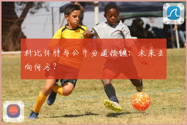 科比怀特与公牛分道扬镳：未来去向何方？