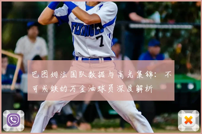 巴图姆法国队数据与高光集锦：不可或缺的万金油球员深度解析